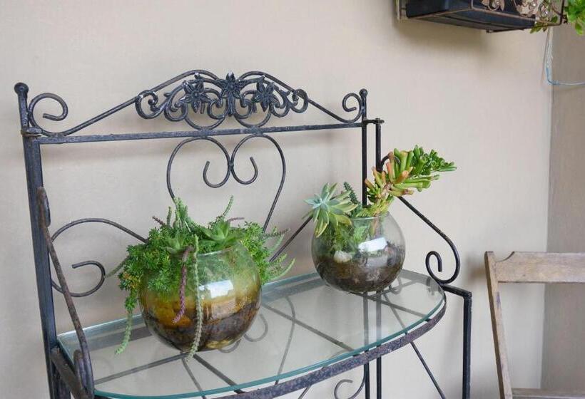 膳宿费 Pousada Movimentai