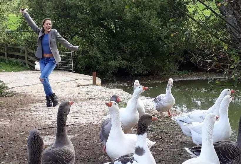 تختخواب و صبحانه Godshill Park Barn