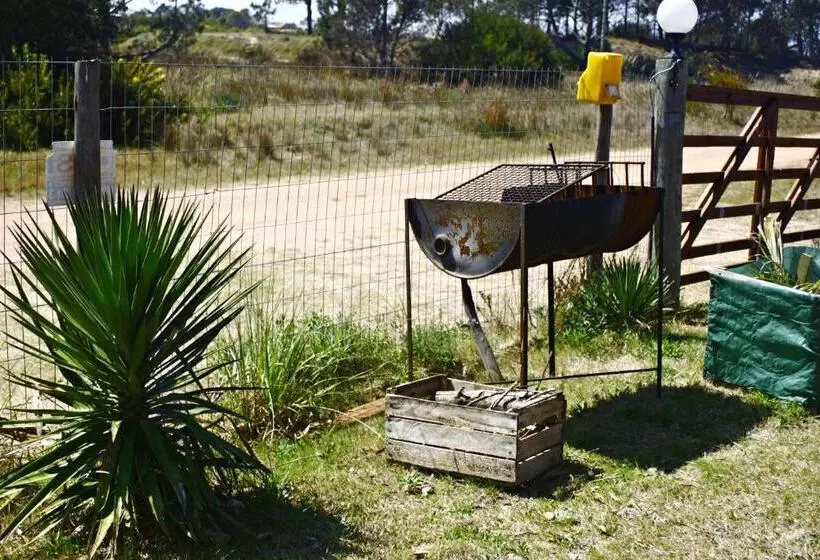 Brisas Mágicas