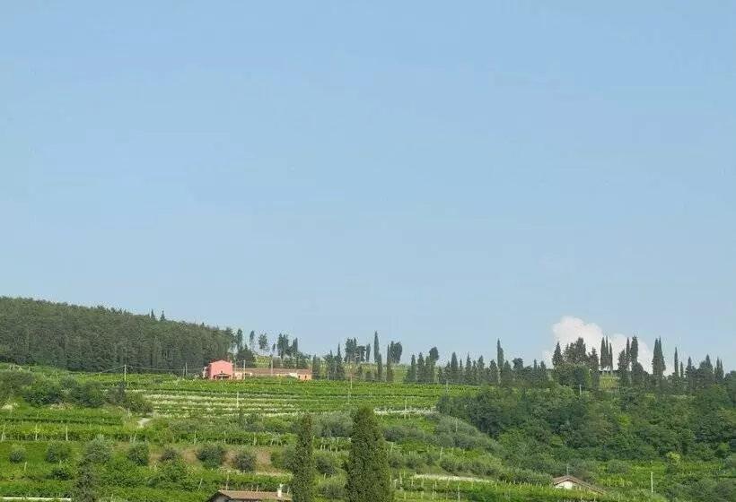 B&b Mimosa E Lilla