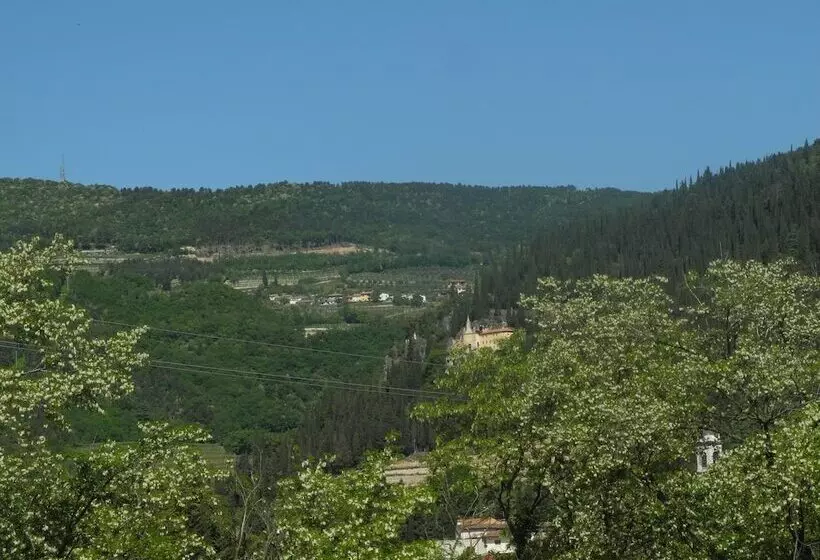 B&b Mimosa E Lilla