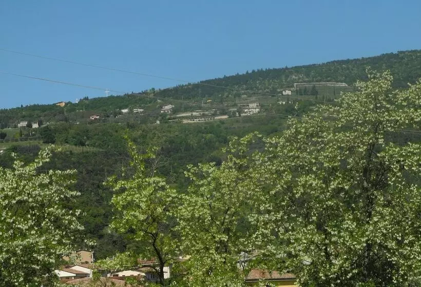 B&b Mimosa E Lilla