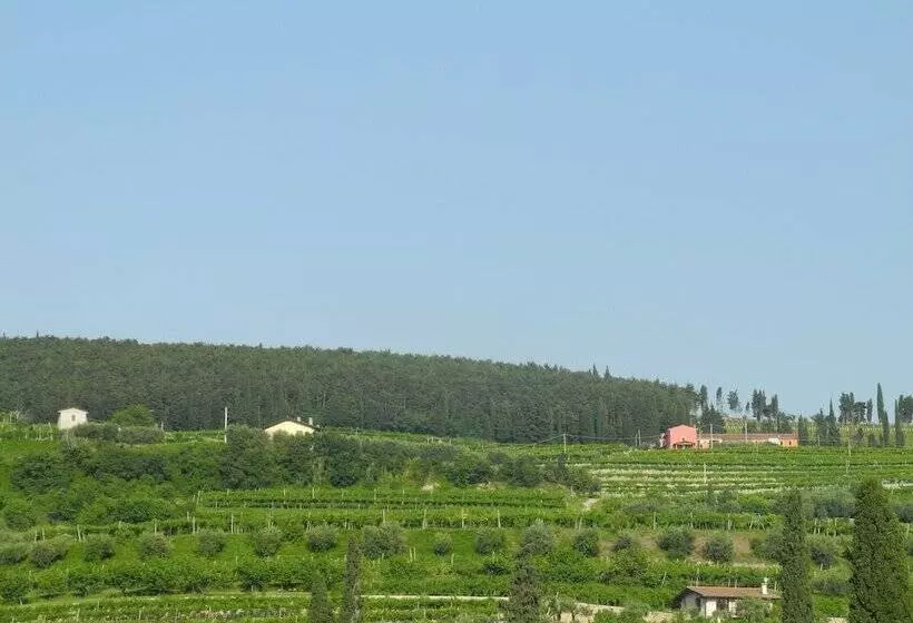 B&b Mimosa E Lilla