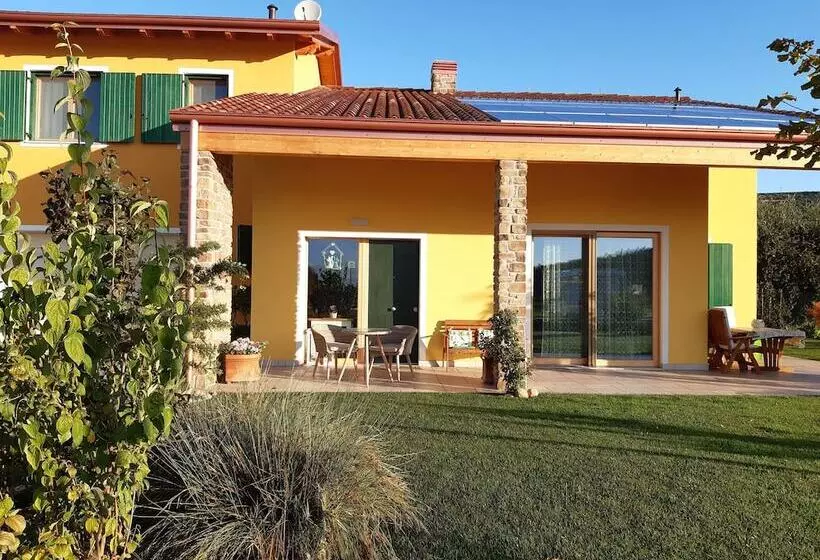B&b Mimosa E Lilla
