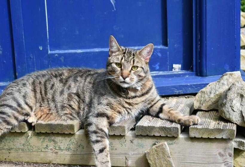 ベッドアンドブレックファースト Low Mill Guesthouse