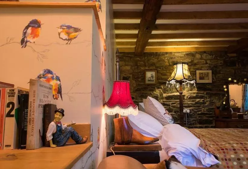 Aamiaismajoitus (B&B) Low Mill Guesthouse