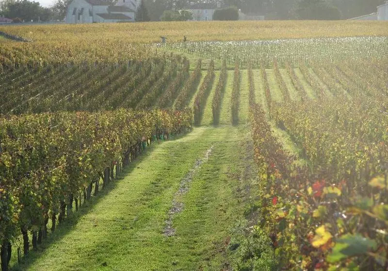 Majatalo La Villa Du Chateau Belloy