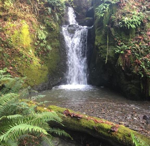 住宿加早餐 Taylor Creek Lodge