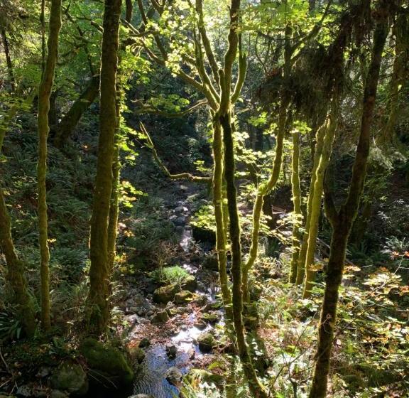 住宿加早餐 Taylor Creek Lodge