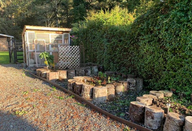 住宿加早餐 Taylor Creek Lodge