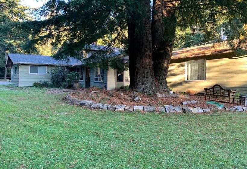 住宿加早餐 Taylor Creek Lodge