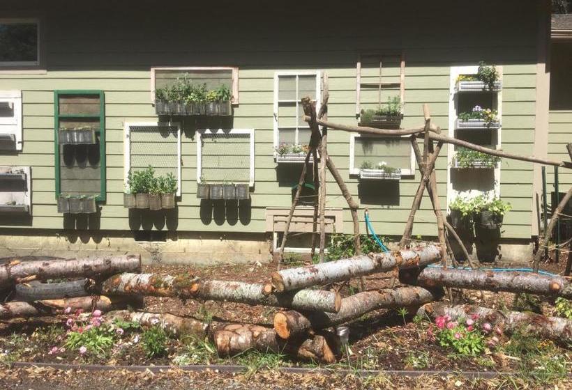 住宿加早餐 Taylor Creek Lodge