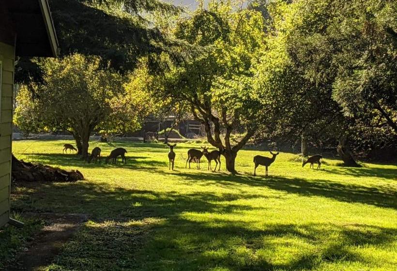 住宿加早餐 Taylor Creek Lodge