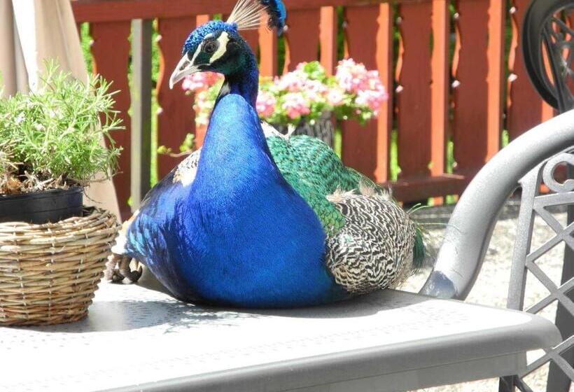 ペンション Jagdschloss Fahrenbühl Hotel Garni