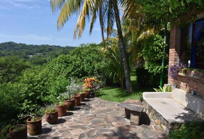 Pension (Hôtel basse catégorie) The Mayan Grouper