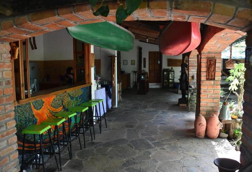 بنسيون The Mayan Grouper