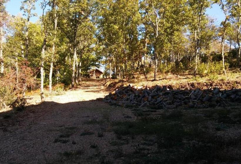酒店 Rural Porta Coeli   Dehesa Santa Lucía