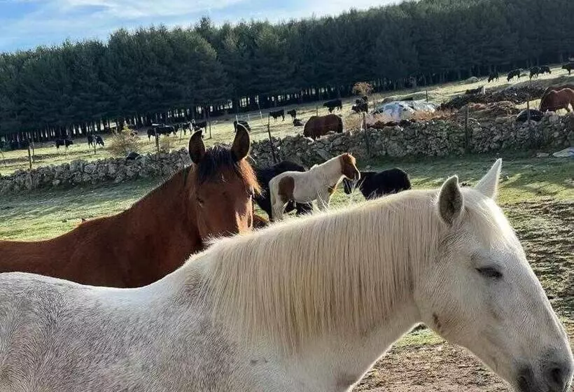 هتل El Sobrao De Gredos