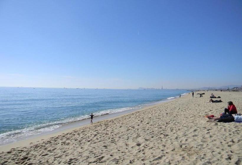 پانسیون Gavina Mar