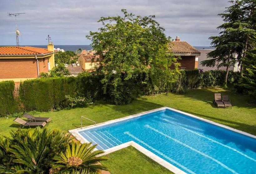 پانسیون Gavina Mar