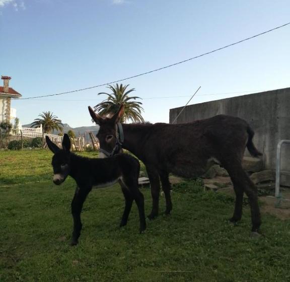 Hotel Agroturismo Pagoederraga