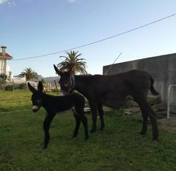 هتل Agroturismo Pagoederraga