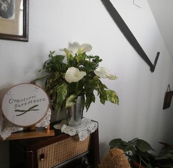 Hotel Agroturismo Pagoederraga