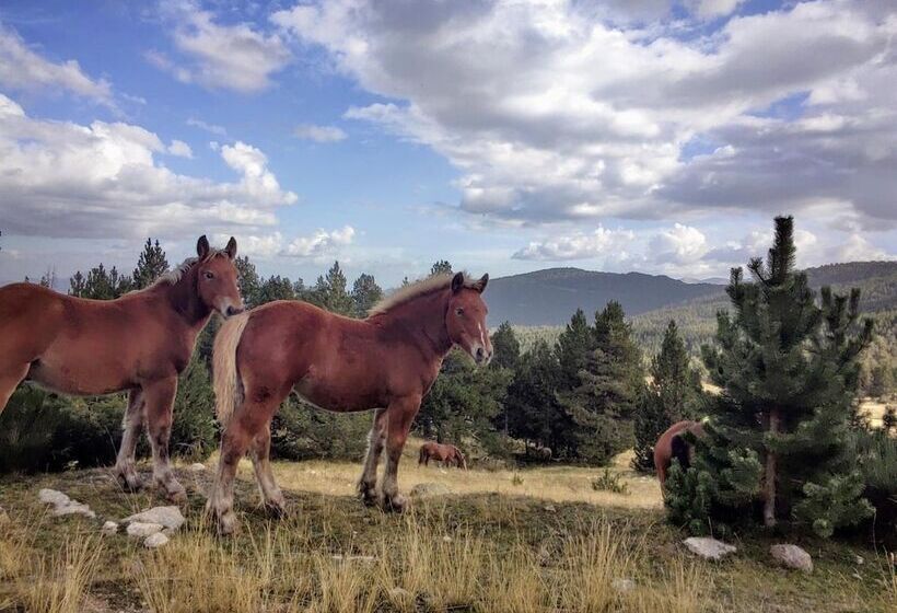 פנסיון Hostal Pas De La Pera