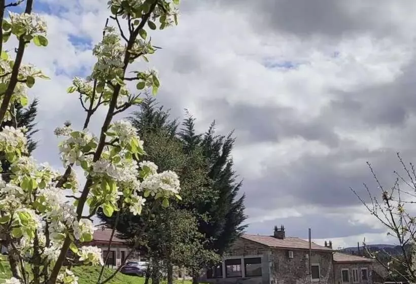 ユースホステル Casa Bolboreta By Unusual Hotels