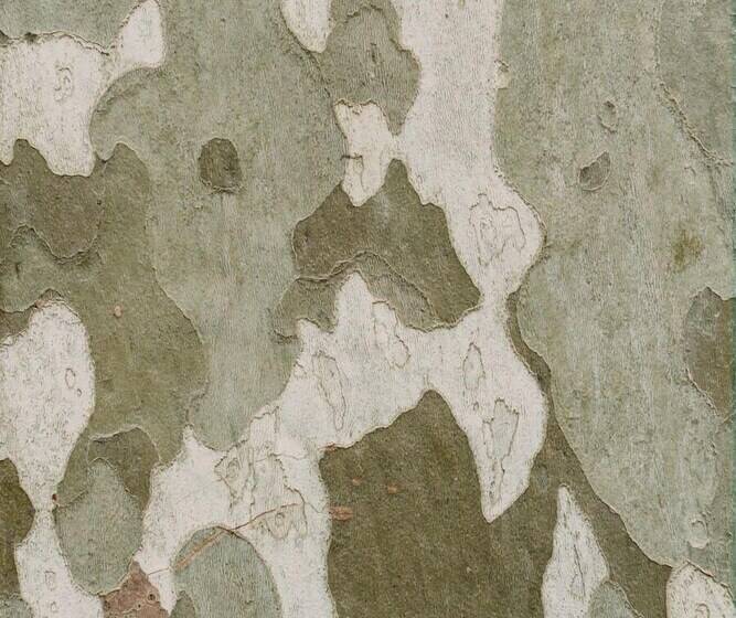 هاستل Casa Bolboreta By Unusual Hotels