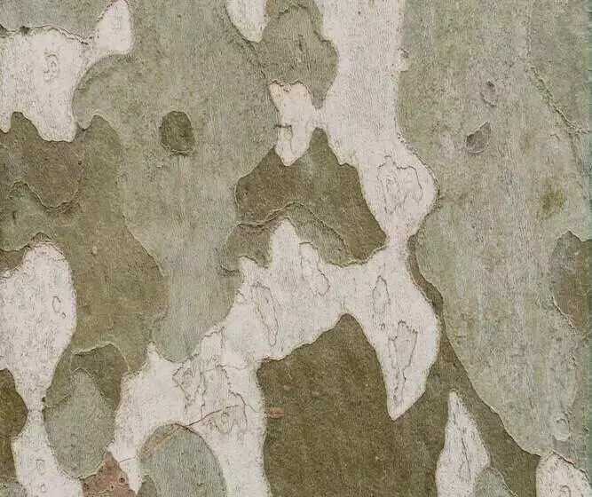 ユースホステル Casa Bolboreta By Unusual Hotels