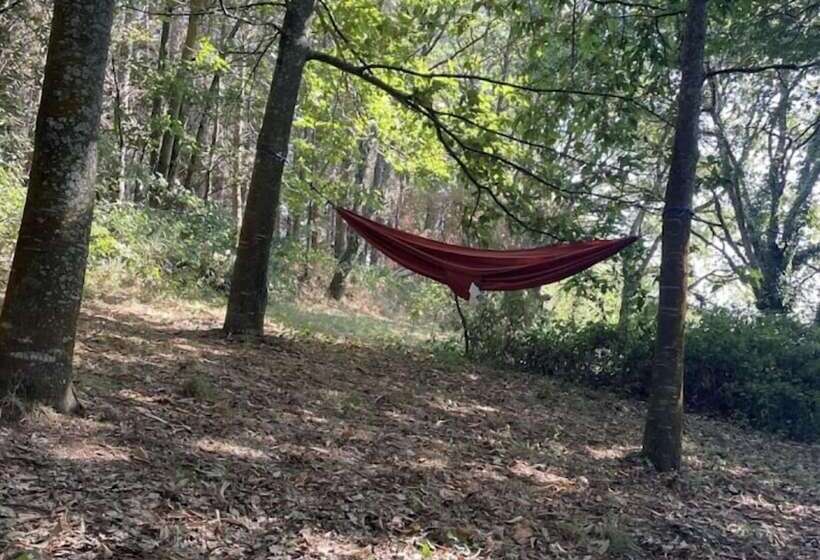 هاستل Casa Bolboreta By Unusual Hotels