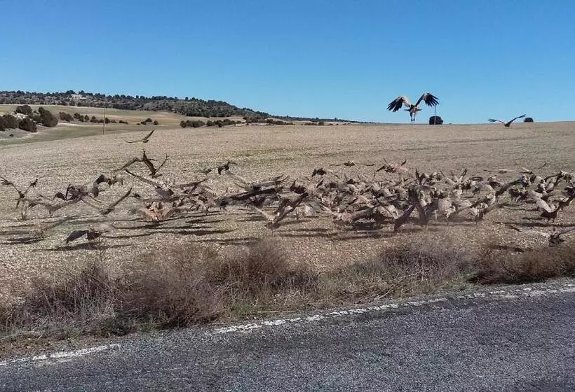 Retkeilymaja Rural El Secreto Del Castillo