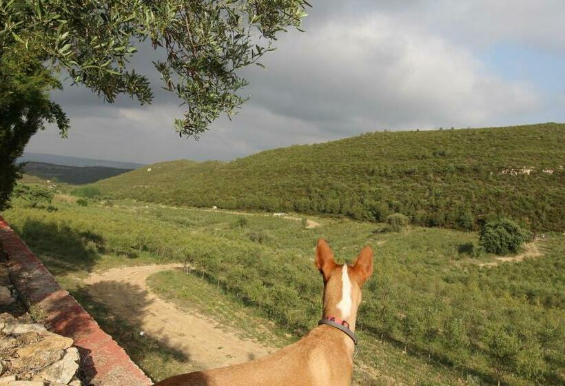 호텔 Finca Heredad La Boquilla