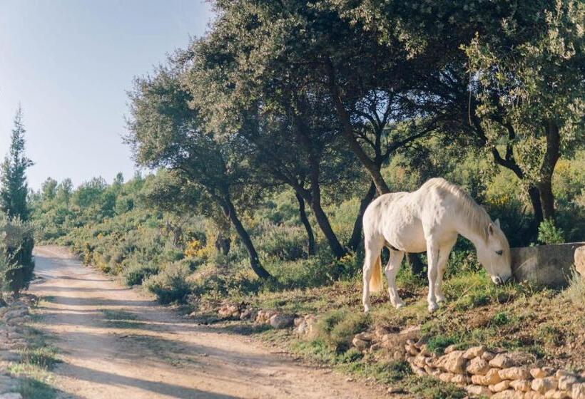 호텔 Finca Heredad La Boquilla