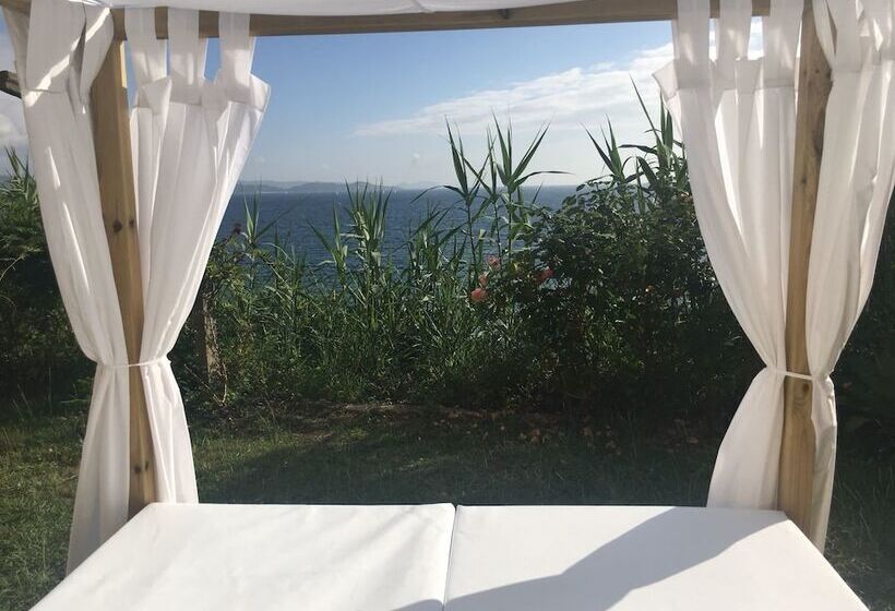 بنسيون Hostal Casa Aurita Adults Only