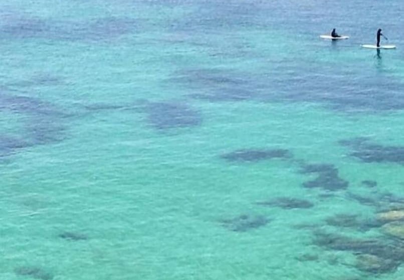 بنسيون Hostal Casa Aurita Adults Only