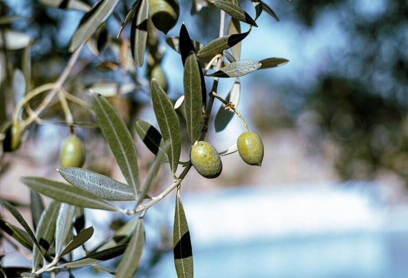בית מלון כפרי Rural Finca La Herencia