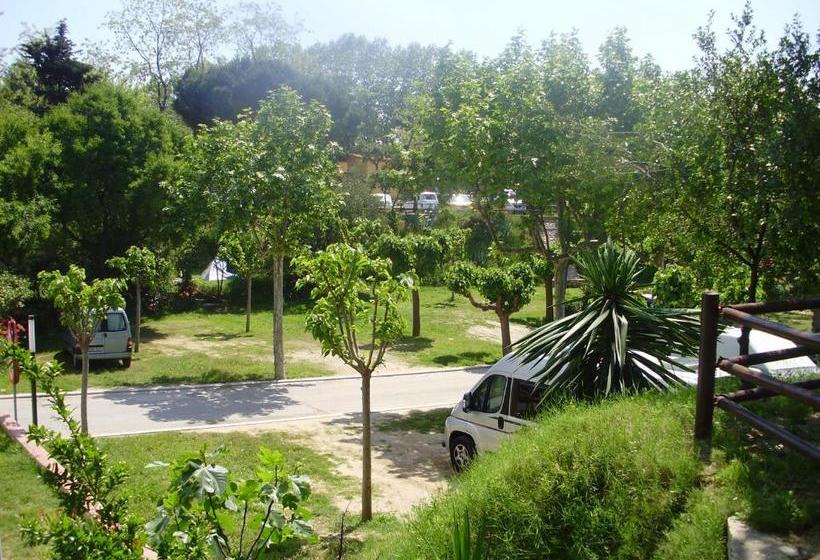 پانسیون Camping Masnou