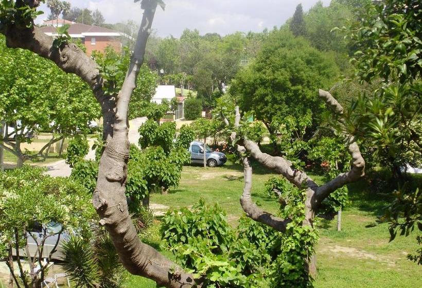 پانسیون Camping Masnou