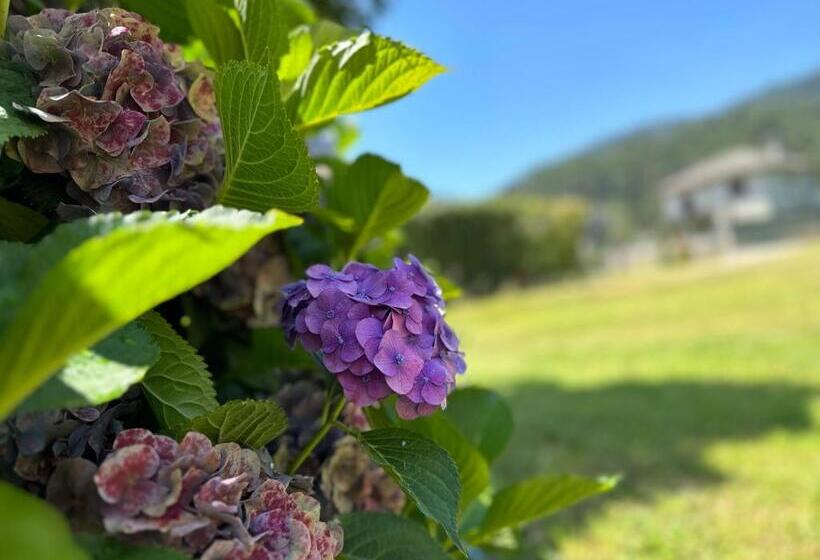 پانسیون Hostal Expo