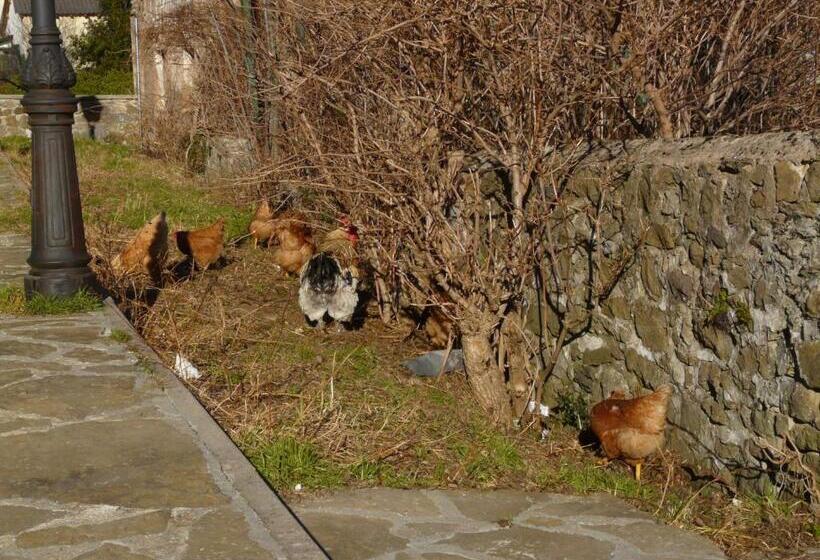 بنسيون La Cabaña