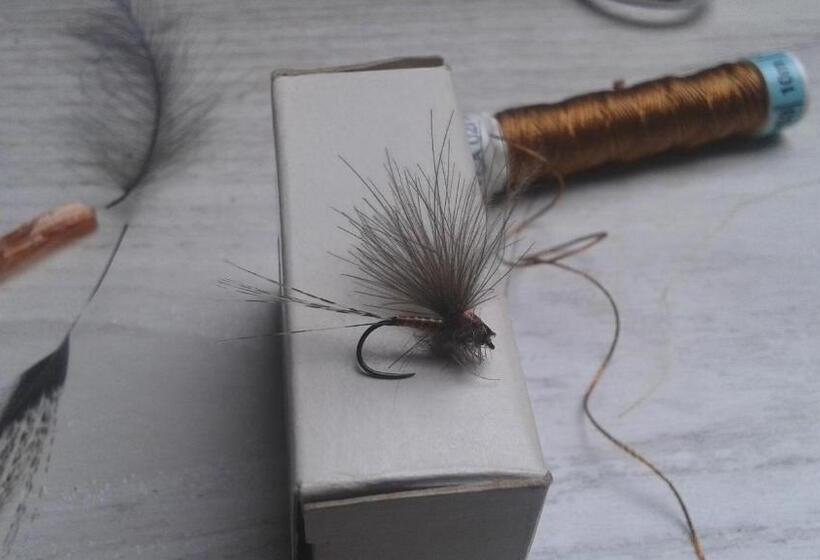 بنسيون La Cabaña