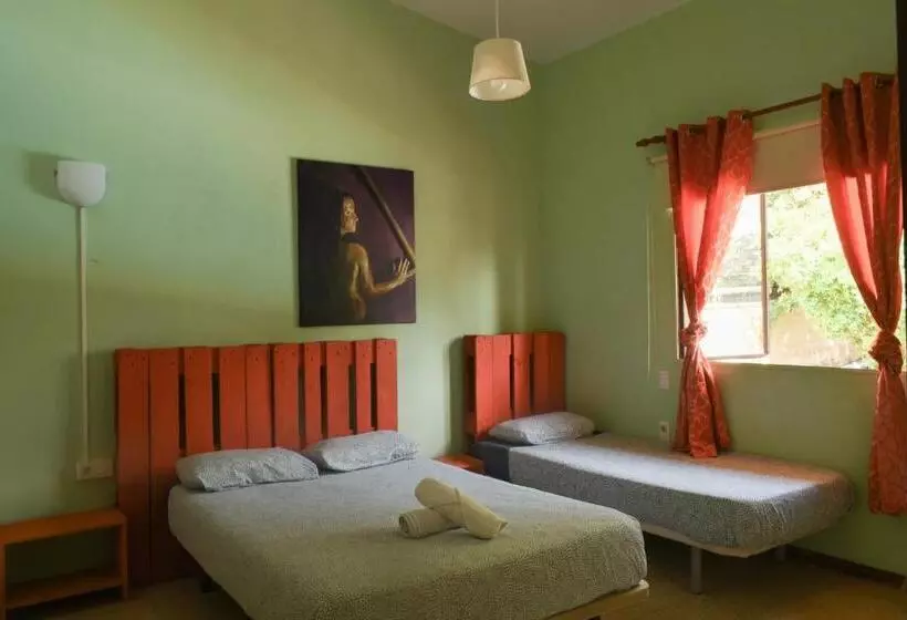 ペンション Lagarto Hostel Tenerife