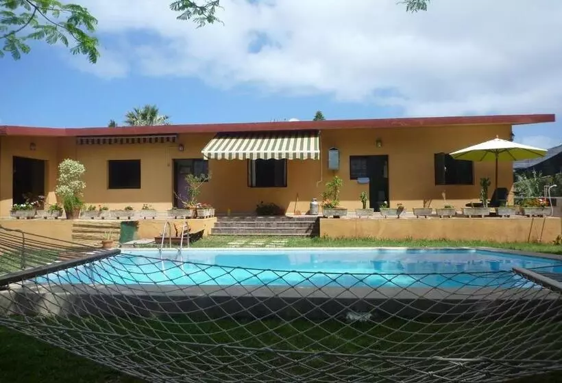 ペンション Lagarto Hostel Tenerife