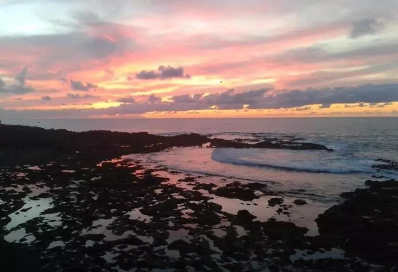 ペンション Lagarto Hostel Tenerife