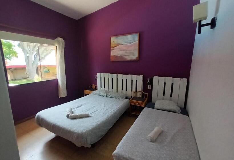 پانسیون Lagarto Hostel Tenerife