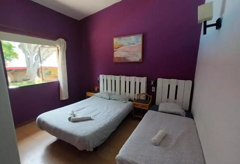 ペンション Lagarto Hostel Tenerife