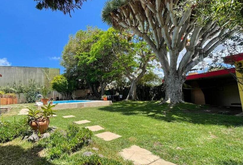 پانسیون Lagarto Hostel Tenerife