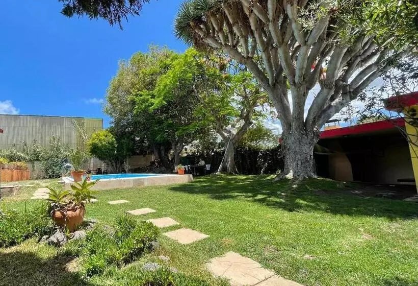 ペンション Lagarto Hostel Tenerife